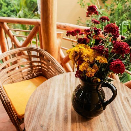 Carpe Diem Casitas & Villas Mazunte Rum bild