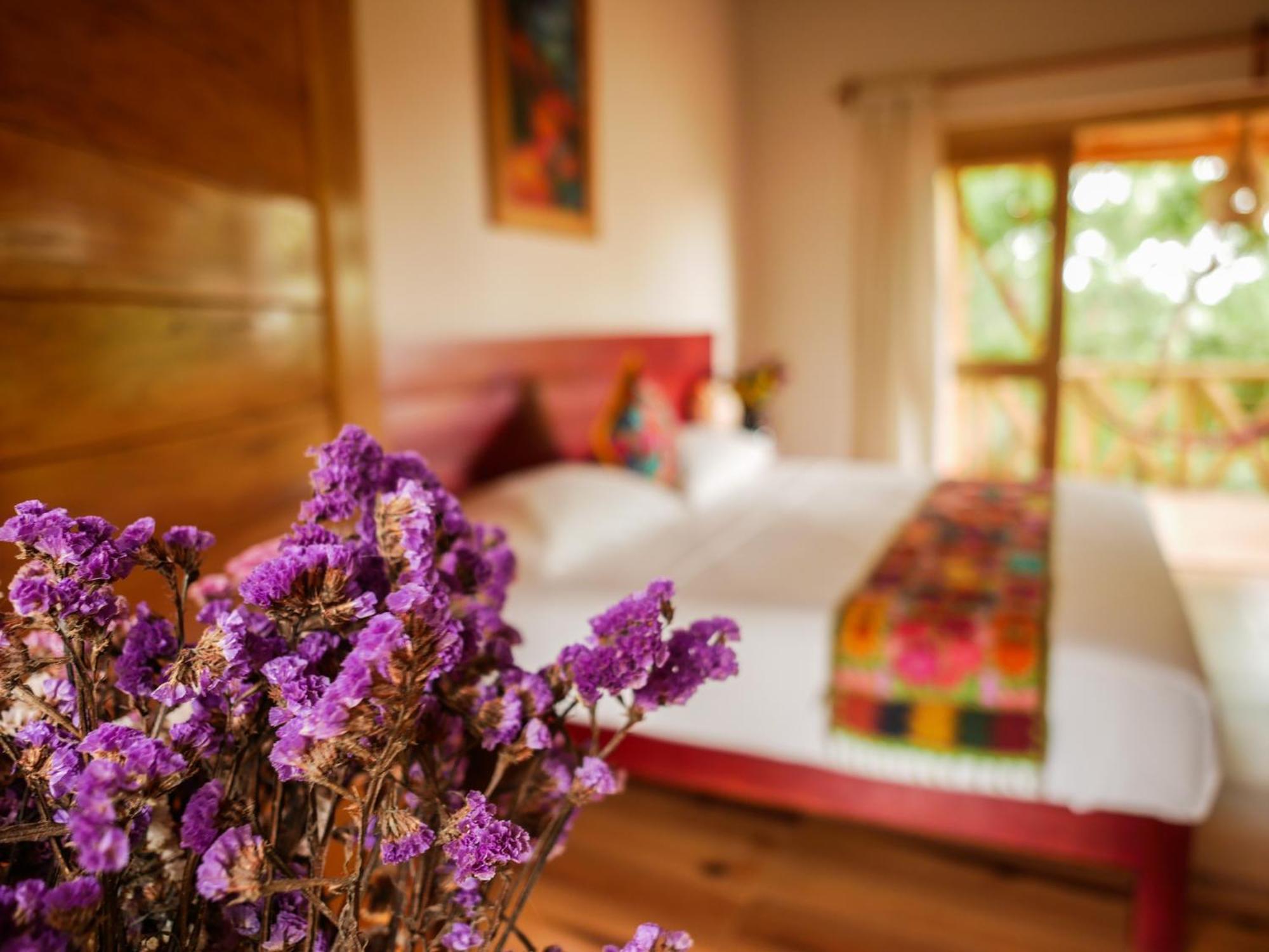Carpe Diem Casitas & Villas Mazunte Rum bild