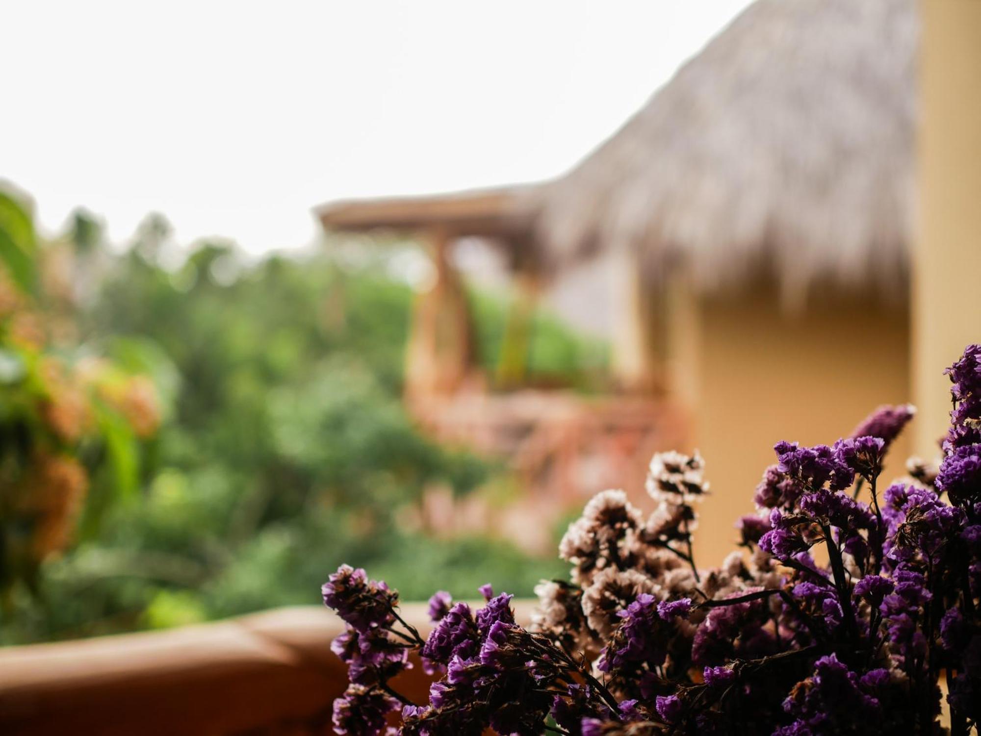 Carpe Diem Casitas & Villas Mazunte Rum bild